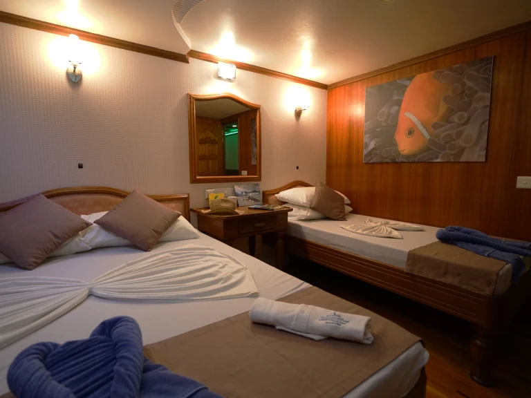 Boot mieten Hulhumale günstig Conte Max - Cabin (triple-1 double bed + 1 single bed)