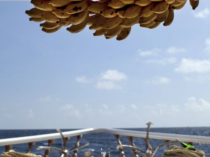 Motorboot mit oder ohne Skipper  mieten in Hulhumale