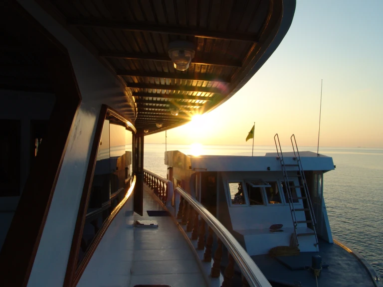 Motorboot mit oder ohne Skipper  mieten in Hulhumale