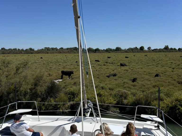Bali Bali Catspace Voile mieten Le Grau-du-Roi
