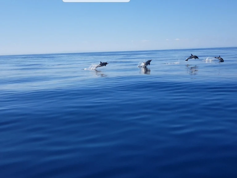 YachtCharter in Anglet - Jeanneau Merry Fisher 925 Fly auf SamBoat