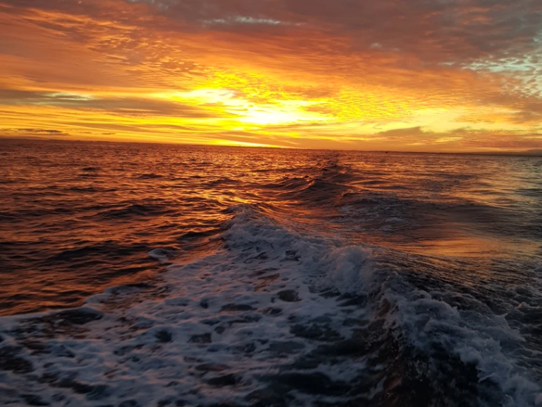 Ein Jeanneau Merry Fisher 925 Fly mieten in Anglet