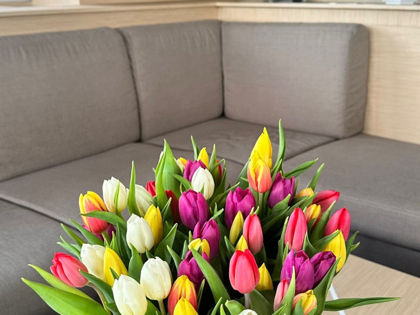 Bootsverleih Fountaine Pajot Fountaine Pajot Samana 59 - 6 + 2 cab Procida Samboat