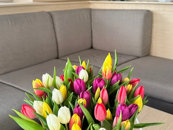 Bootsverleih Fountaine Pajot Fountaine Pajot Samana 59 - 6 + 2 cab Procida Samboat