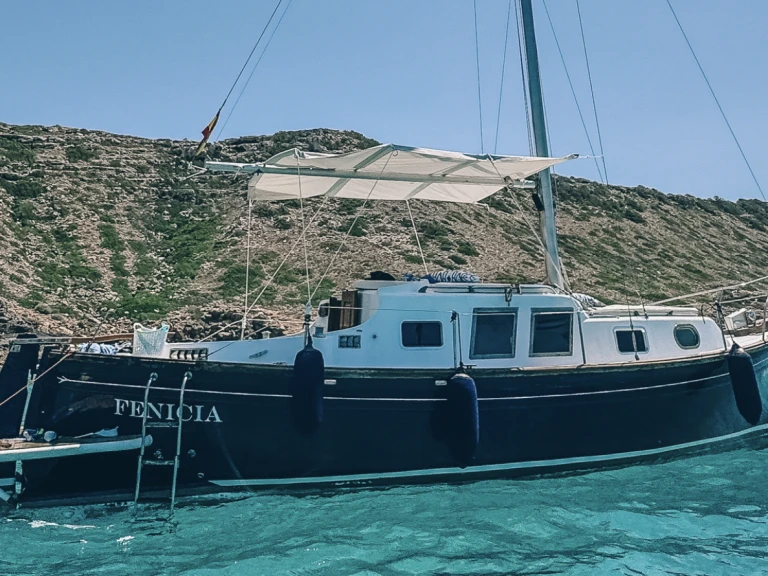 Ein Myabca delfin 28 mieten in Palma de Mallorca