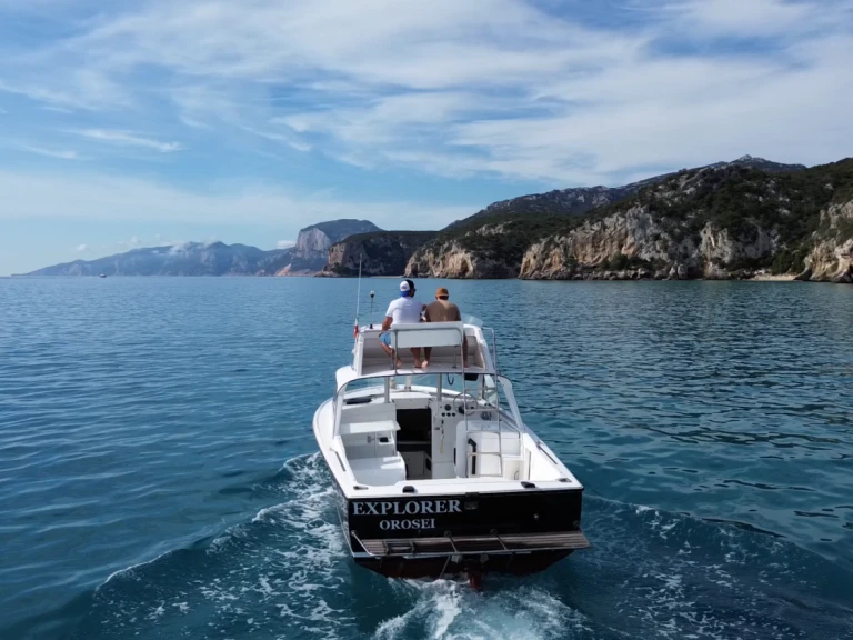 Vermietung Motorboot Bertram mit Führerschein
