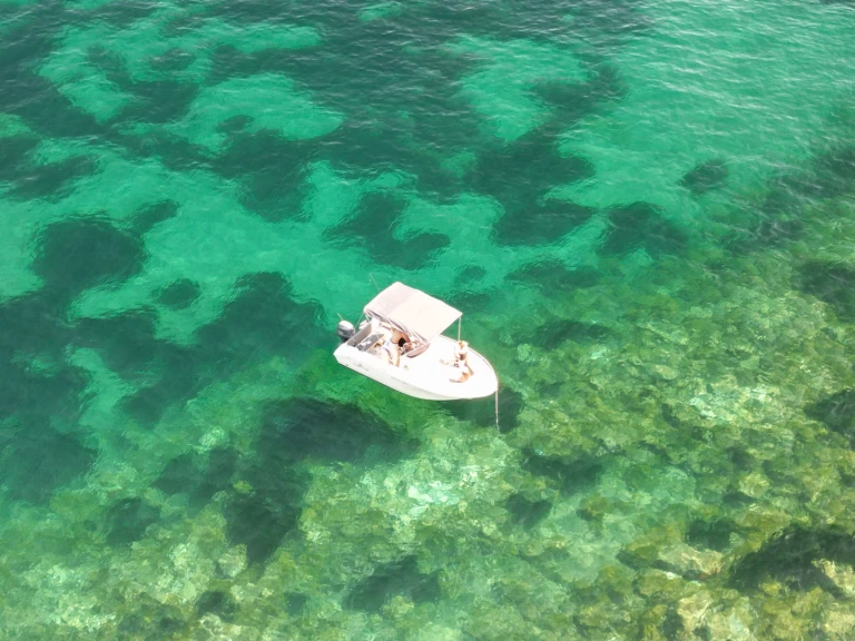 Motorboot mieten in Mandelieu-la-Napoule - Pacific Craft Pacific Craft 545 Open