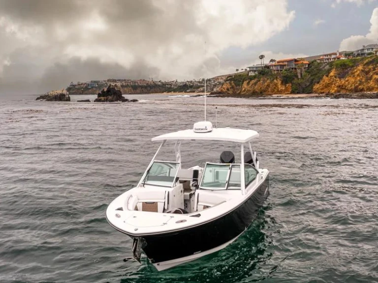 Bootsverleih Blackfin 272 DC  West Palm Beach Samboat