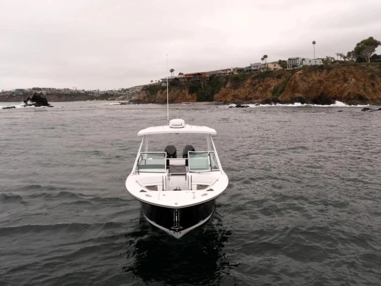 Motorboot mit oder ohne Skipper Blackfin mieten in West Palm Beach