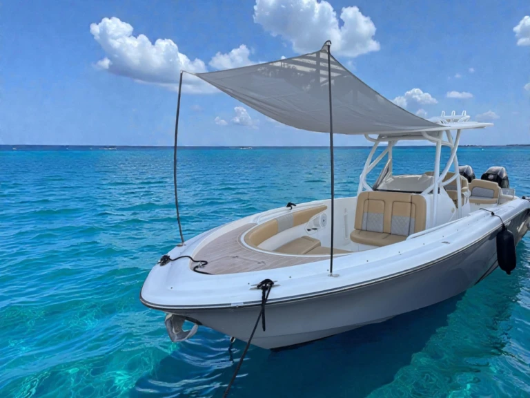 Ein Pronautica 880 Open Sport mieten in Port d'Alcudia