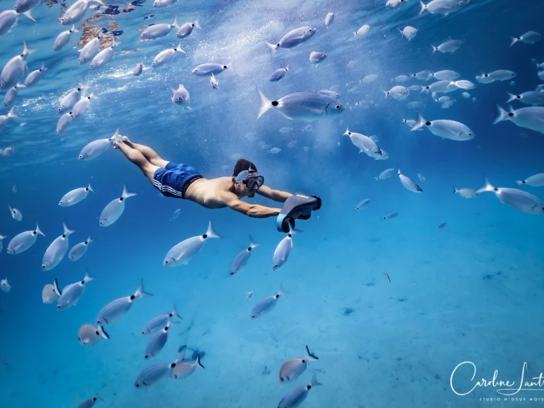 YachtCharter in Porto-Vecchio - Lomac Lomac 540 IN auf SamBoat