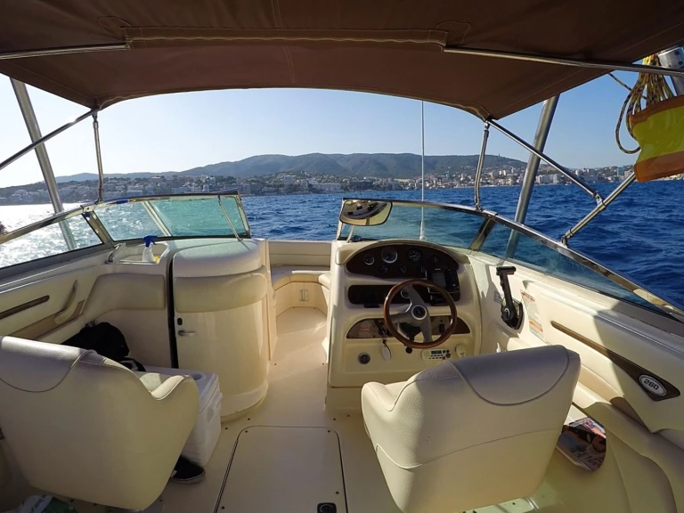Motorboot mieten in Santa ponça - Sea Ray Sea Ray 260