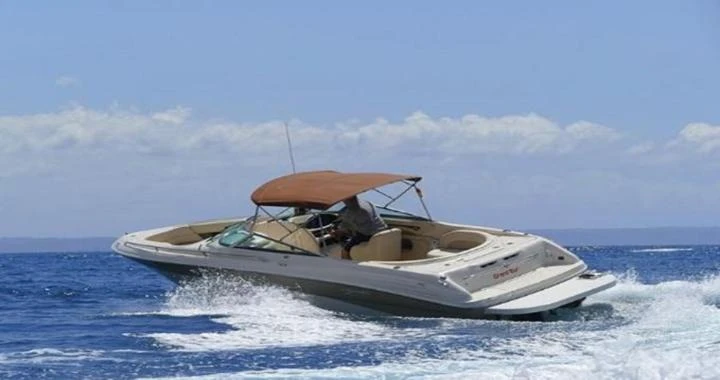 Sea Ray Sea Ray 260 mieten Santa ponça