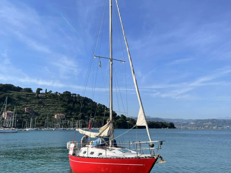Vermietung Segelboot Cobra mit Führerschein