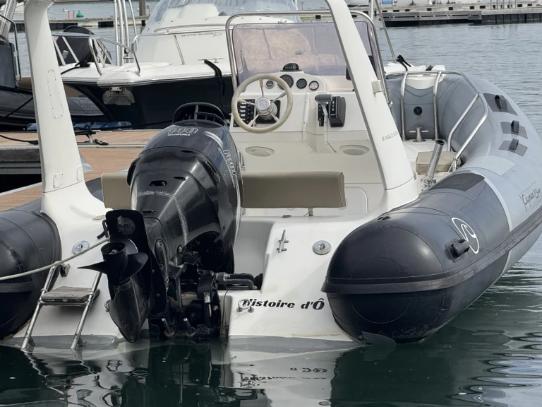 Ein Brig Eagle 650 H mieten in Baden