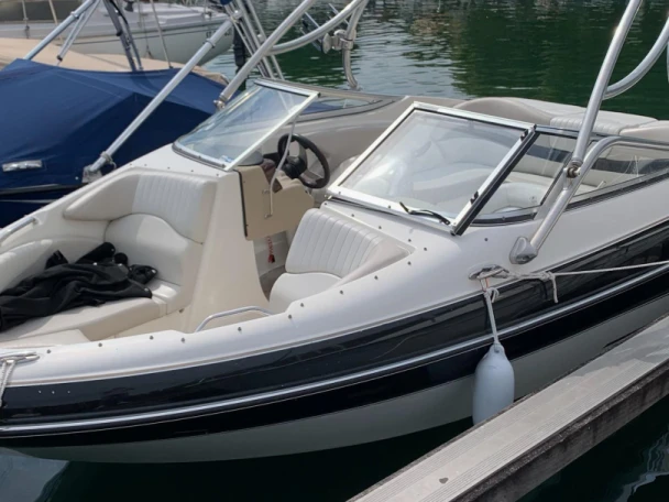 Motorboot mit oder ohne Skipper Glastron mieten in Le Bourget-du-Lac