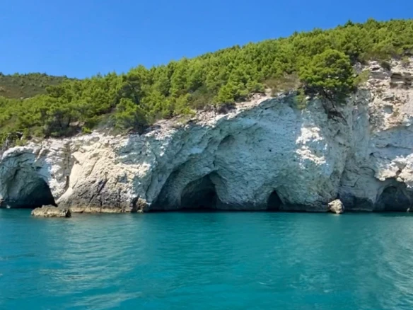 Bootsverleih Bénéteau Cyclades 43.3 Vieste Samboat