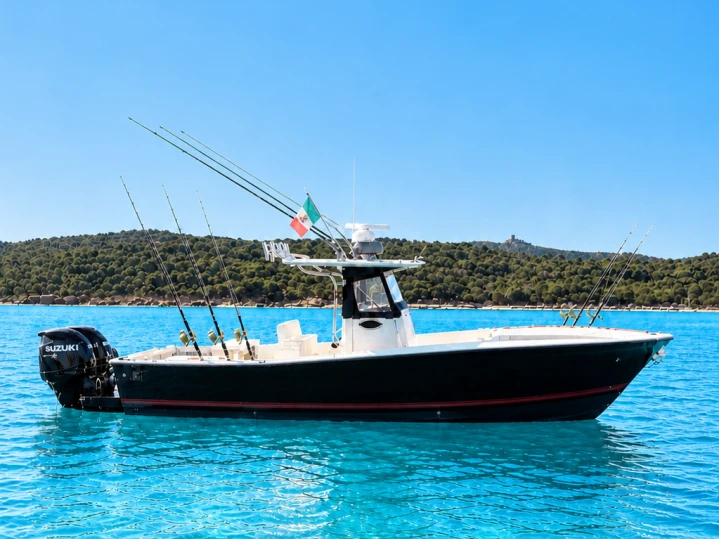 Boot mieten Marina di Portisco günstig All custom