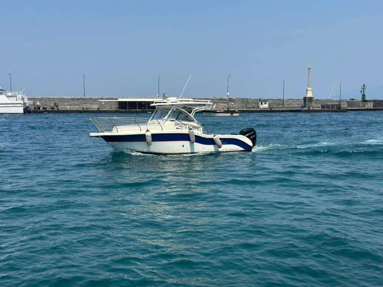 Motorboot mit oder ohne Skipper SEAGAME mieten in Capri