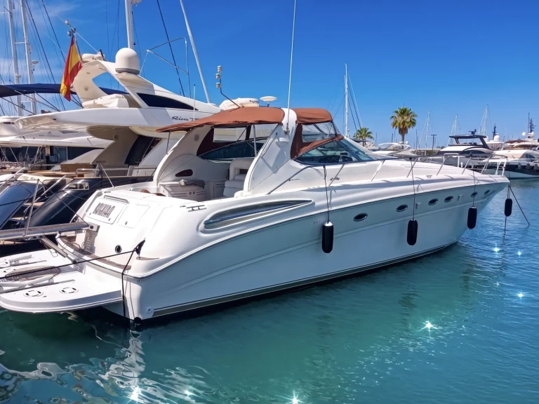 Motorboot mit oder ohne Skipper Sea Ray mieten in Port de Pollença