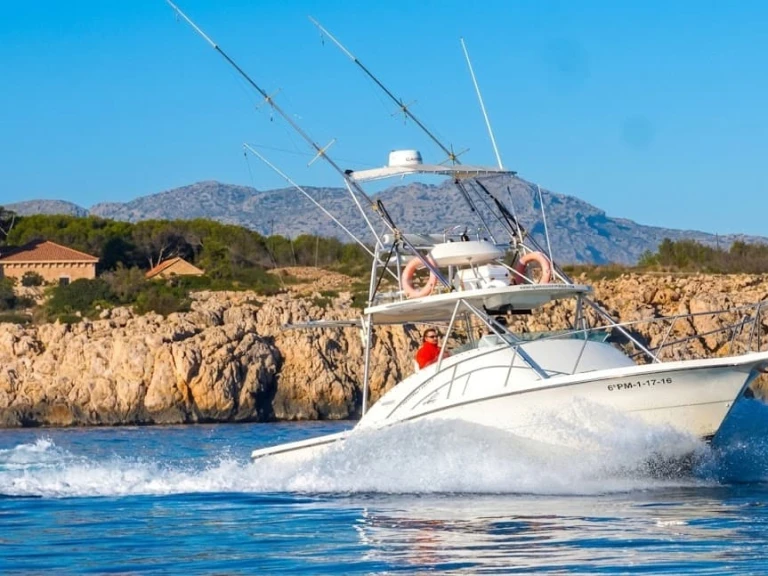 Motorboot mieten in Port de Pollença zum besten Preis