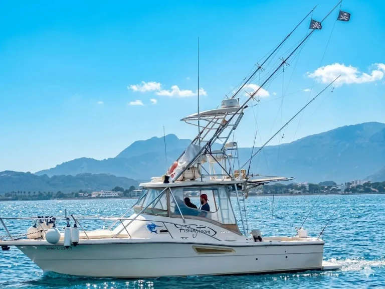 Boot mieten Port de Pollença günstig 3100 open