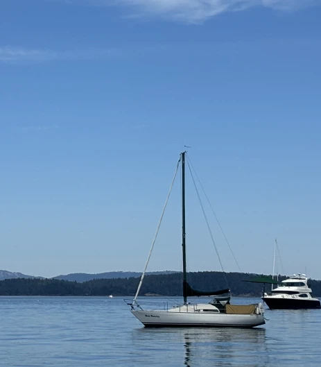Bootsverleih Albin 79 Quarter Ton class Sidney Samboat