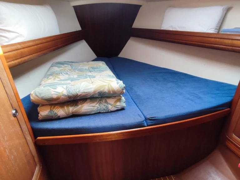 YachtCharter in Puerto Altea - Bavaria Bavaria 37 Cruiser auf SamBoat
