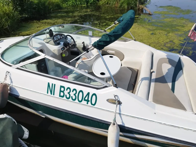 Vermietung Motorboot Seaswirl mit Führerschein