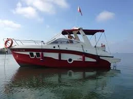 Vermietung Motorboot Lexsia mit Führerschein