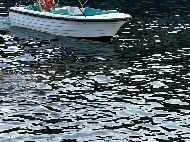 Vermietung Motorboot Polyester Yacht mit Führerschein