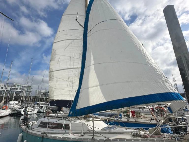 Bootsverleih Jeanneau Brin de folie Brest Samboat