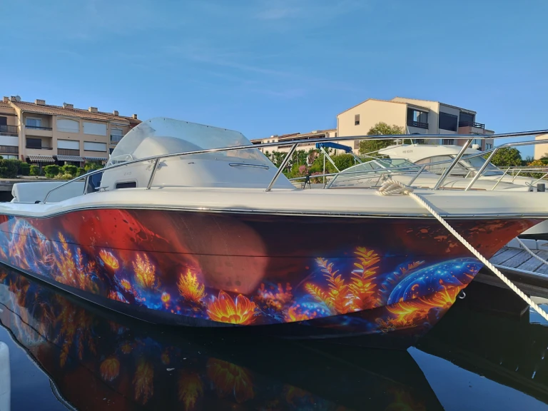 Ein White Shark White Shark 248 mieten in Saint-Cyprien