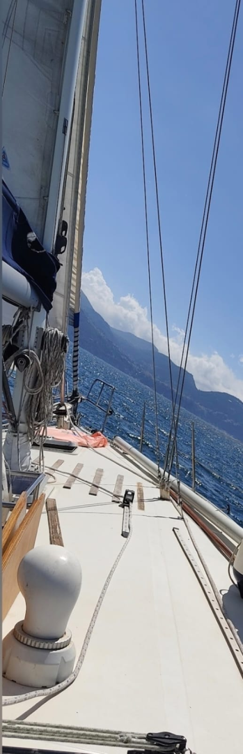 Boot mieten Porto di Torre del Greco günstig orca 43