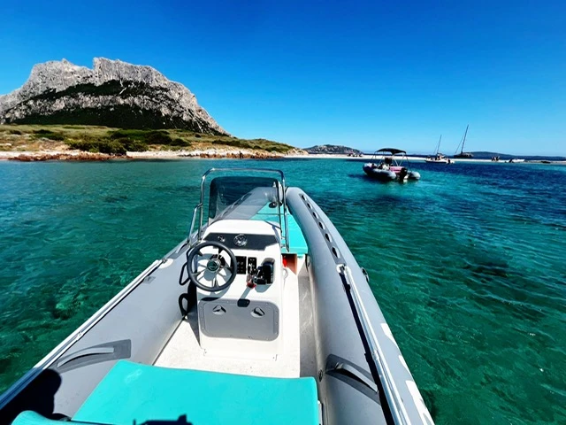 Bwa California 550 mieten Olbia