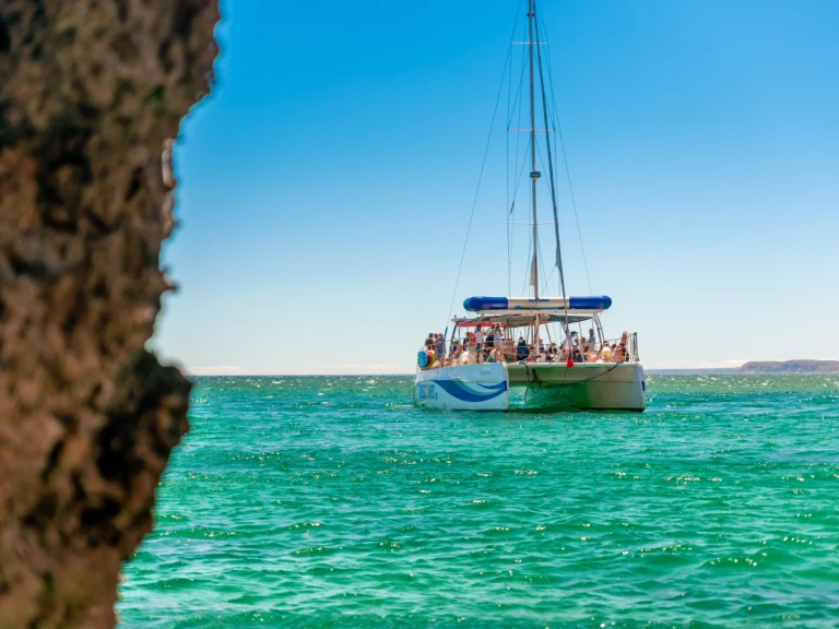 Katamaran mit oder ohne Skipper Custom Made mieten in Marina de Lagos