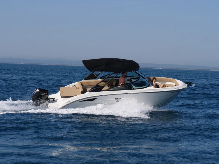Vermietung Motorboot Sea Ray mit Führerschein