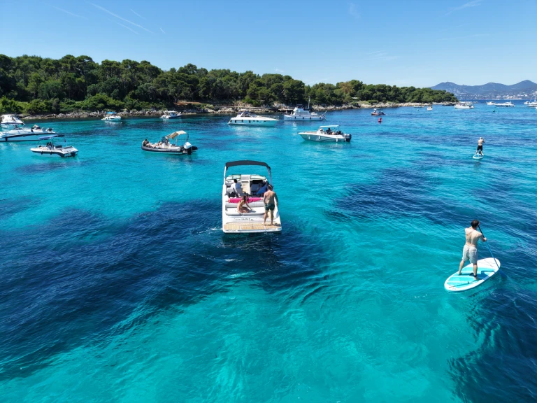 Sea Ray SDX 27 E mieten Port La Napoule