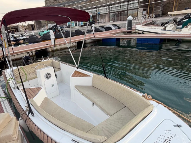 Motorboot mieten in Calp / Calpe - Silver yaths Silver 495