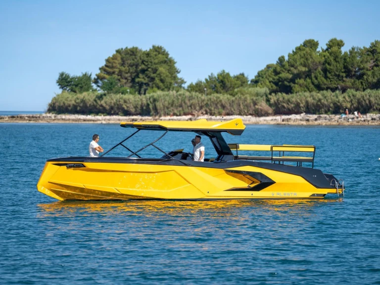 Motorboot mit oder ohne Skipper  mieten in Aalsmeer
