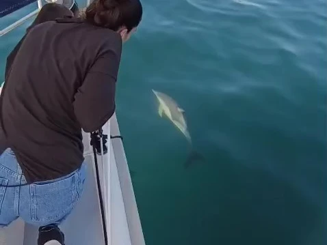 Ein Hunter Hunter 41 mieten in Marbella