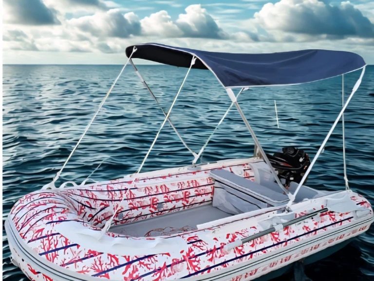 Boot mieten Le Brusc günstig RIB3