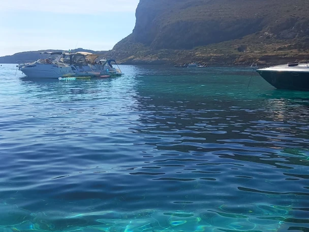 Combac Shark  mieten Marsala