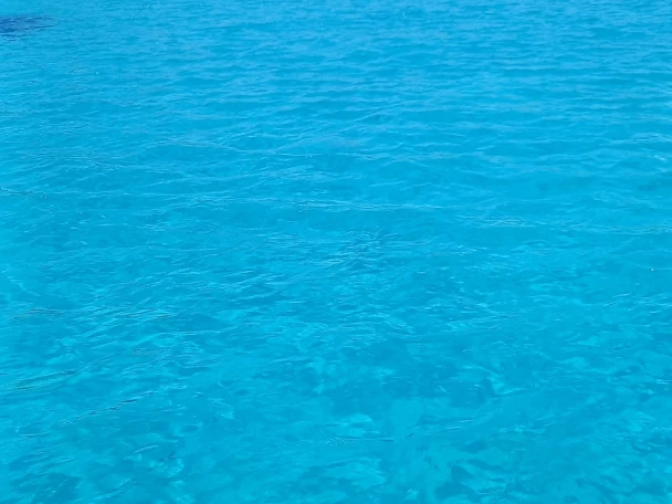 Ein Combac Shark  mieten in Marsala