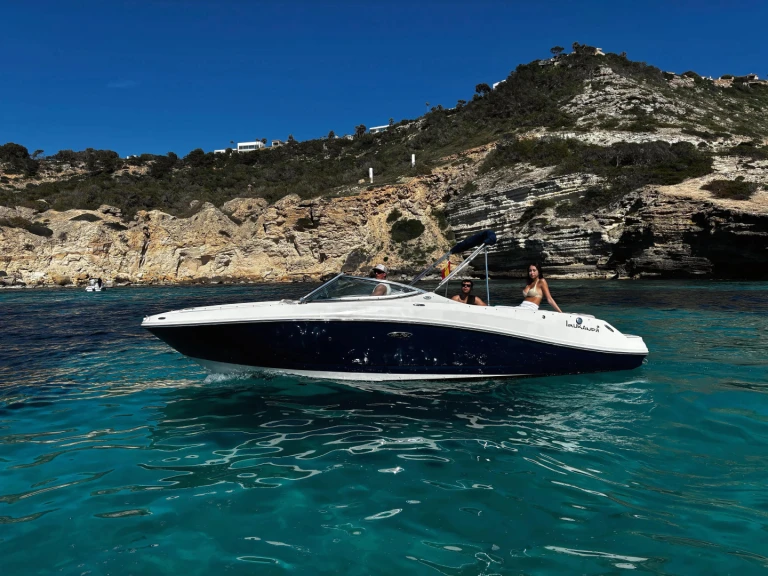 Vermietung Motorboot Sea Ray mit Führerschein