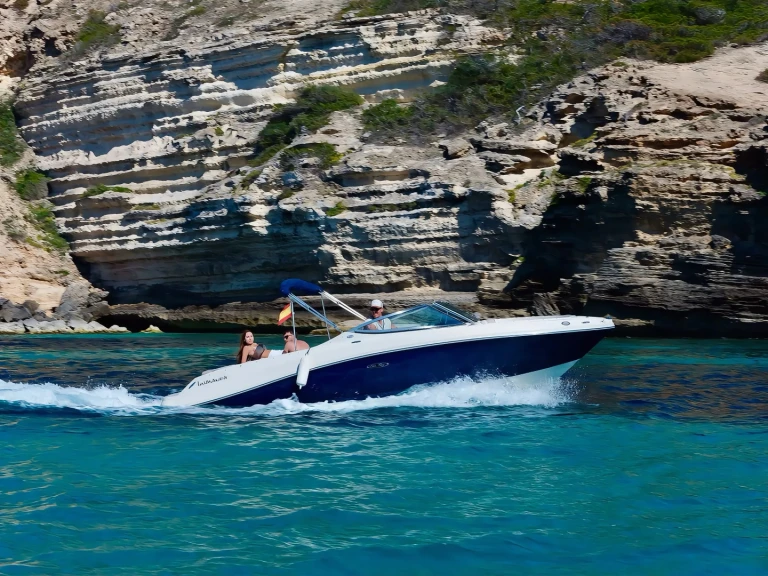 Sea Ray Sea Ray 230 mieten Port d'Andratx