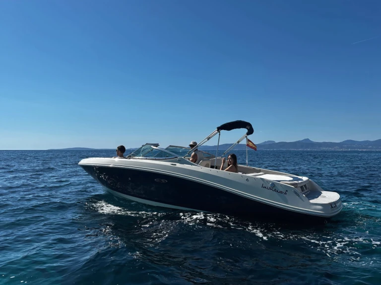 YachtCharter in Port d'Andratx - Sea Ray Sea Ray 230 auf SamBoat