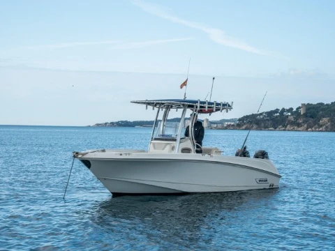 Vermietung Motorboot Boston Whaler mit Führerschein