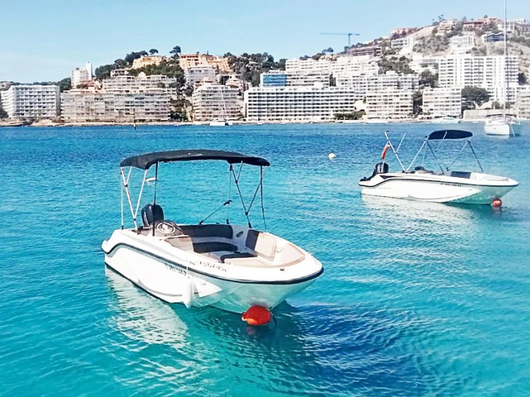 Motorboot mit oder ohne Skipper Bayliner mieten in Palma de Mallorca