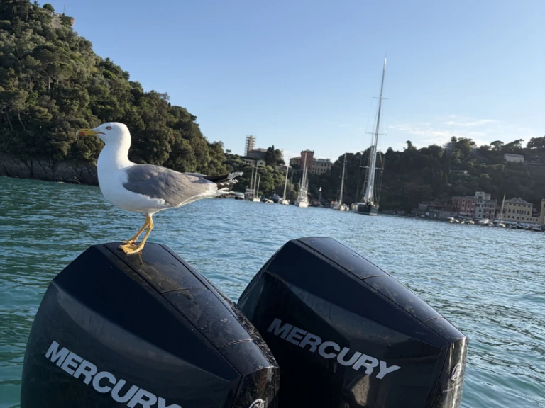 Ein SCAND  Scand 9200 mieten in Rapallo
